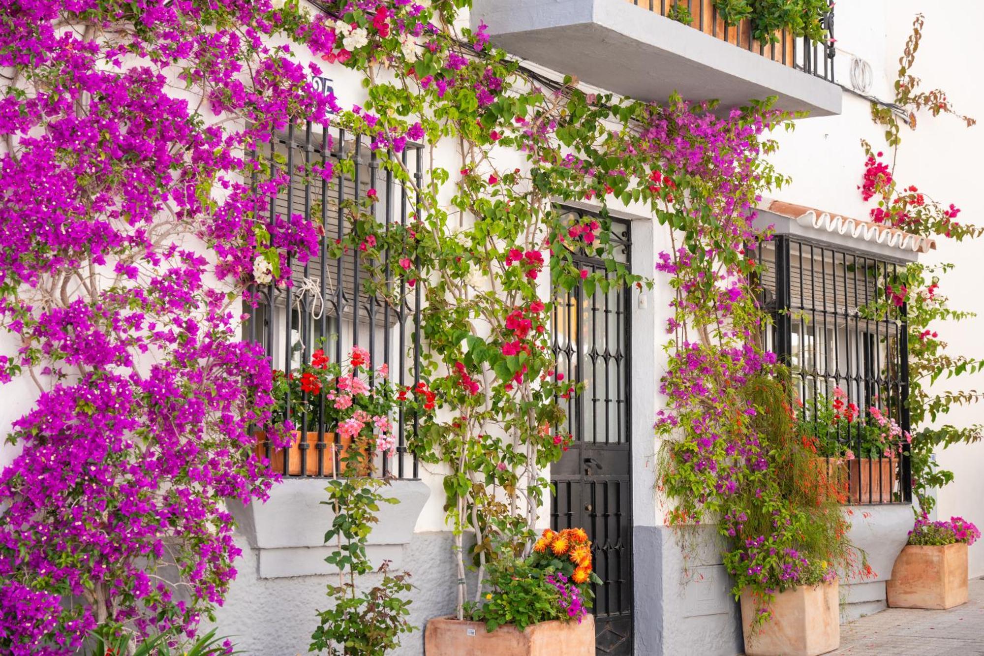 Apartament Luxury Duplex 106 Close To The